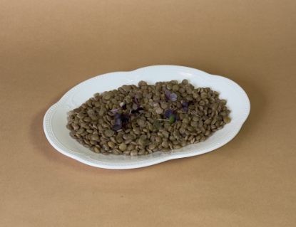 Picture of Lentil 200g